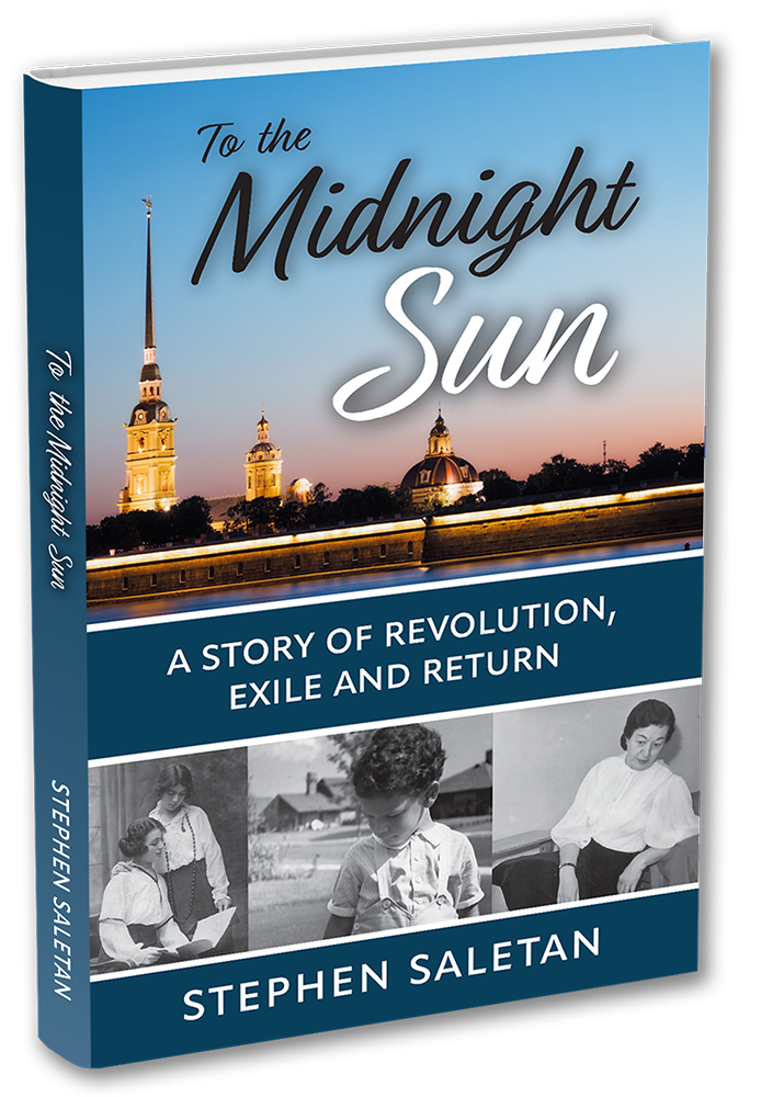 to the midnight sun by stephen saletan 3D cover